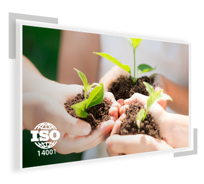Rocha - ISO 14001